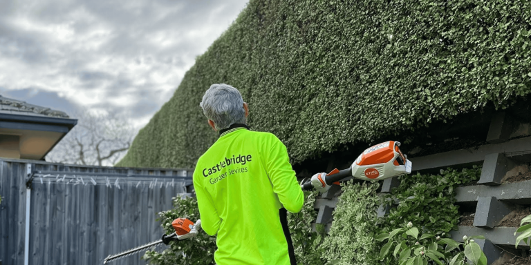 Hedge Trimming & Pruning - Castlebridge Garden Services