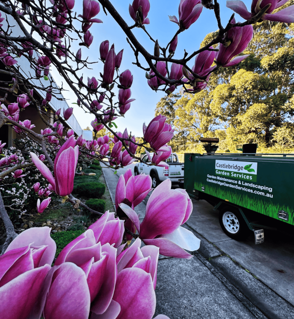 castlebridge-gardening-services castlebridge-gardening-services