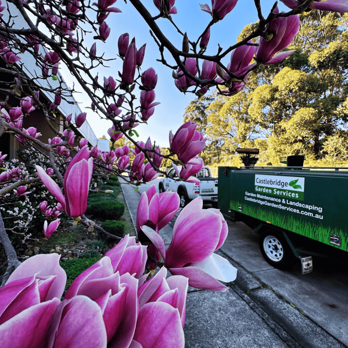 castlebridge-gardening-services
